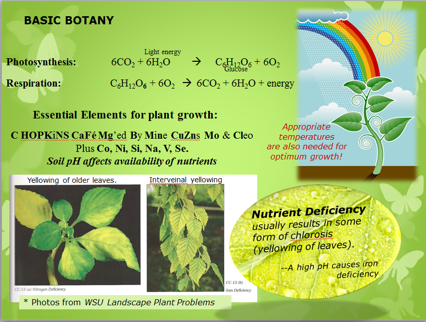 carbohydrates-are-stored-in-fhe-kiver-and-musc-in-the-form-of-the